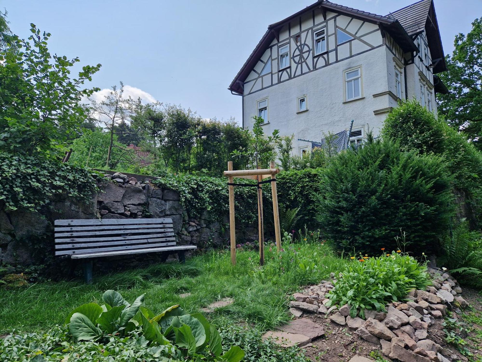 Ferienwohnung Im Logierhaus Villa Ihler 卢森塔尔 外观 照片